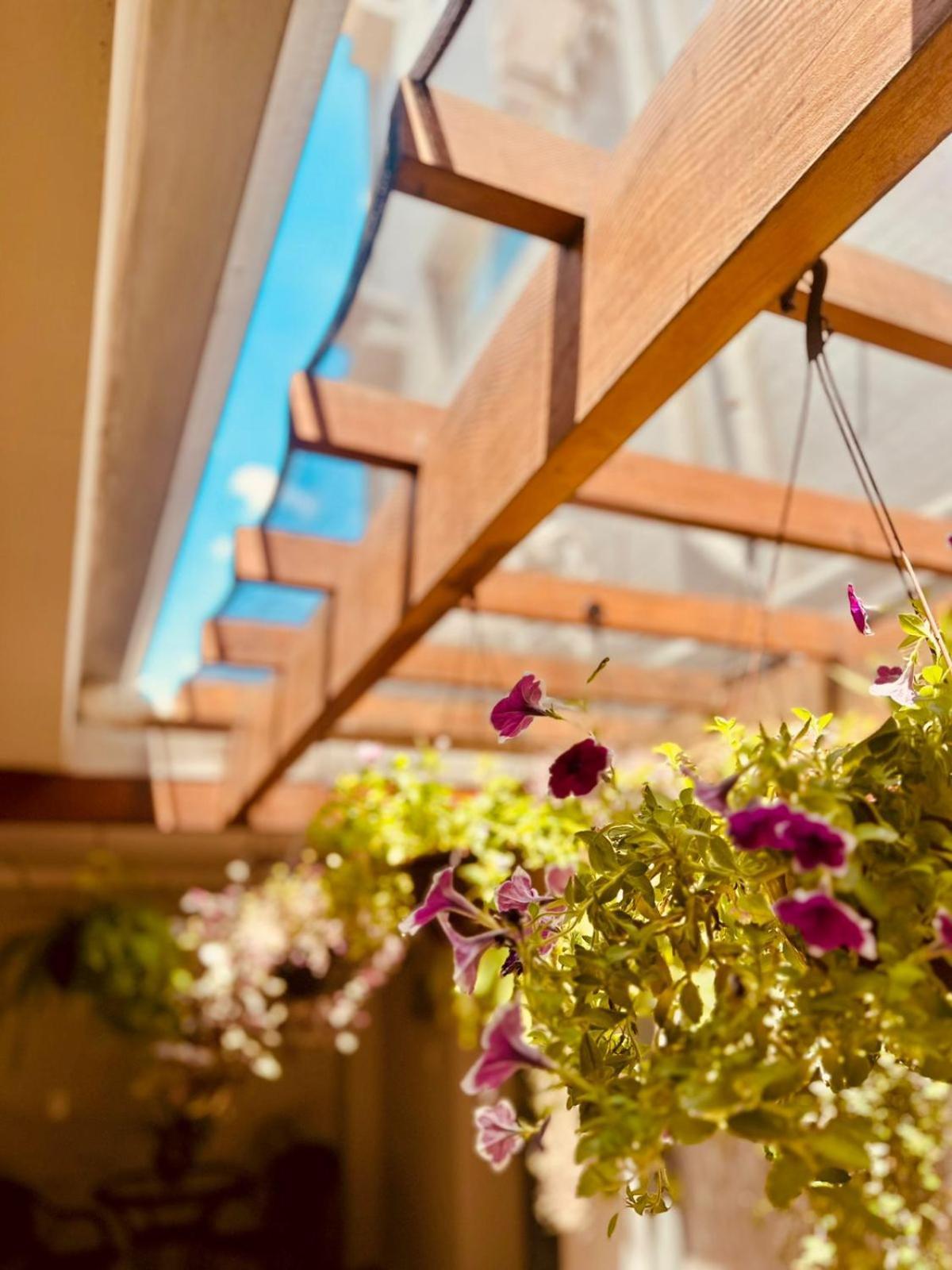 Skalla Hotel Nova Odessa Luaran gambar